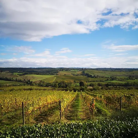 Фермерський будинок Il Castagno Wine & Сієна