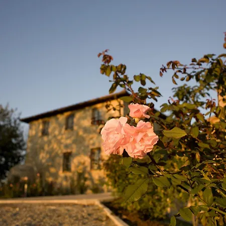 Il Castagno Wine & *