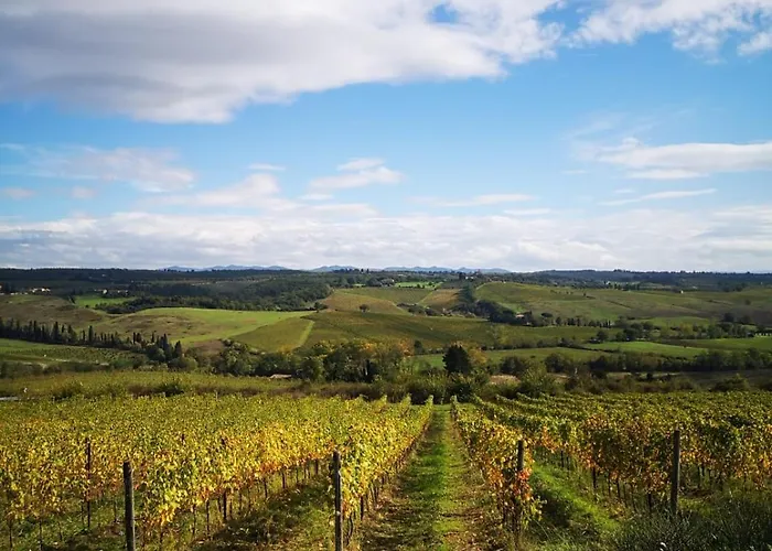 Çiftlik konaklama Il Castagno Wine & Siena