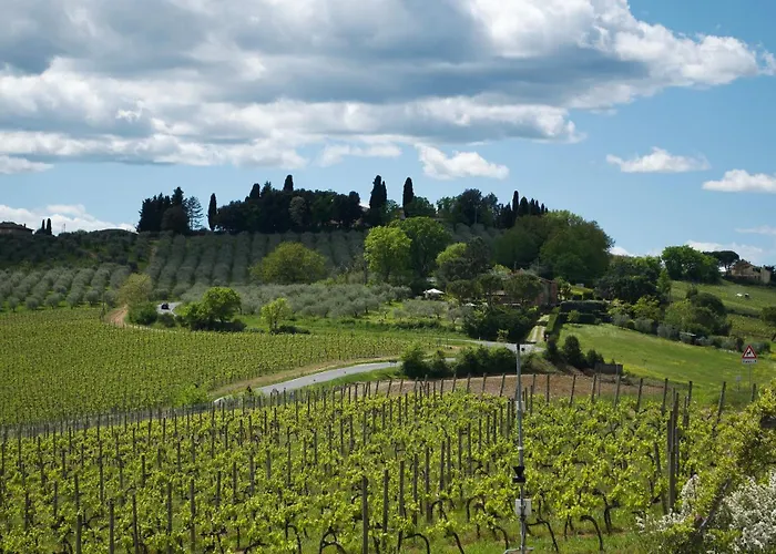 Il Castagno Wine & Siena