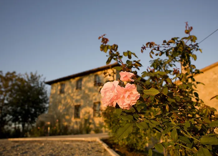 Il Castagno Wine & *