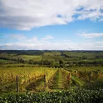Фермерский дом Il Castagno Wine & Сиена